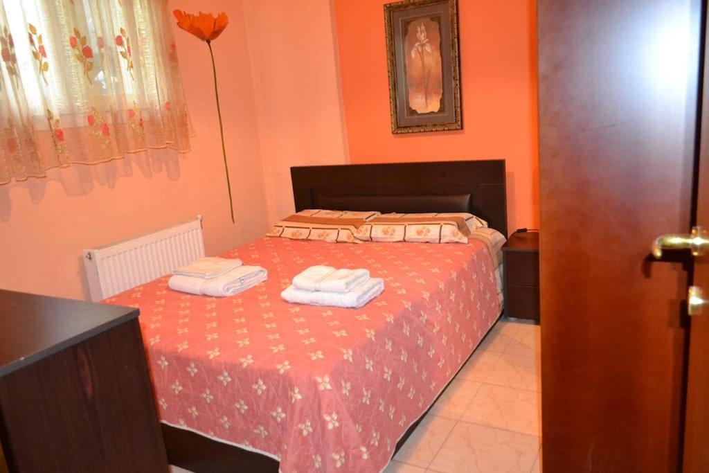尼亚米卡尼奥纳Vasiliki'S Cosy House公寓 外观 照片