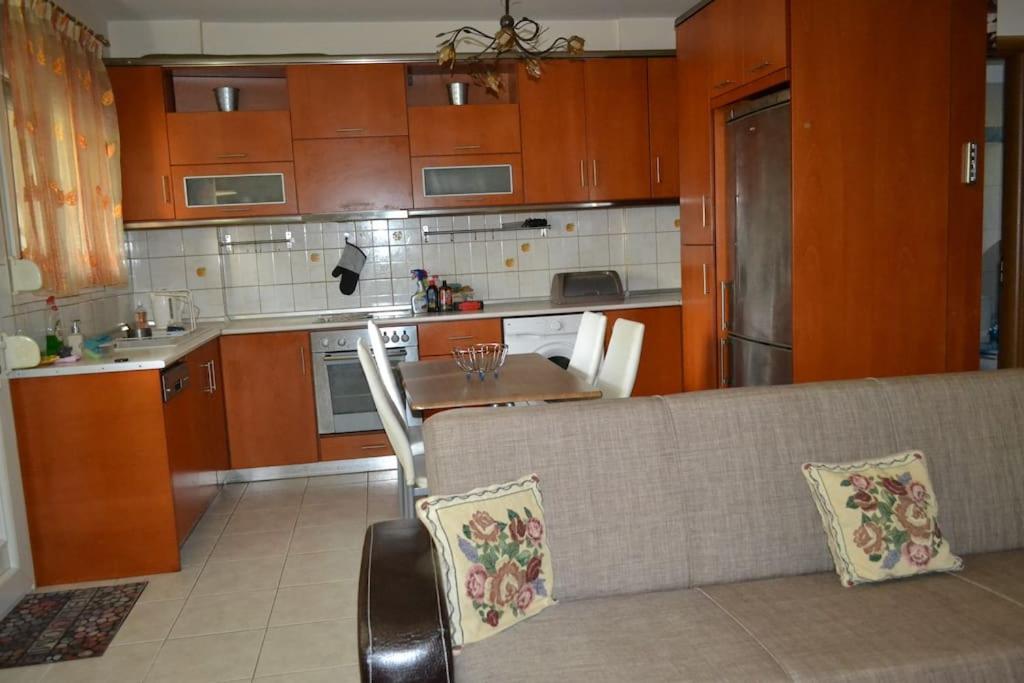 尼亚米卡尼奥纳Vasiliki'S Cosy House公寓 外观 照片