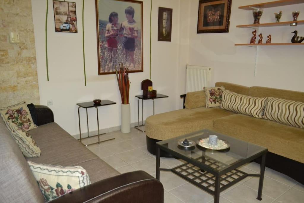 尼亚米卡尼奥纳Vasiliki'S Cosy House公寓 外观 照片