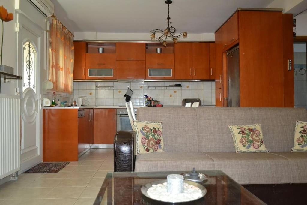 尼亚米卡尼奥纳Vasiliki'S Cosy House公寓 外观 照片