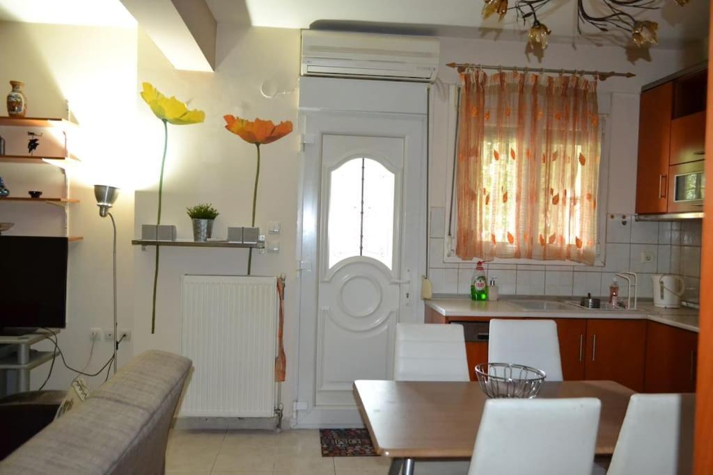 尼亚米卡尼奥纳Vasiliki'S Cosy House公寓 外观 照片